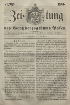 Zeitung des Großherzogthums Posen. 1843, № 238 (11 Oktober)