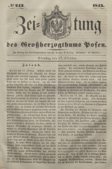Zeitung des Großherzogthums Posen. 1843, № 243 (17 Oktober)