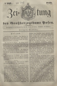 Zeitung des Großherzogthums Posen. 1843, № 246 (20 Oktober)