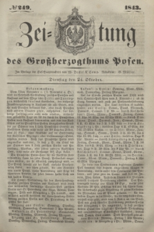 Zeitung des Großherzogthums Posen. 1843, № 249 (24 Oktober)