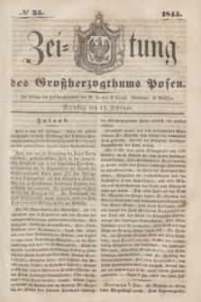 Zeitung des Großherzogthums Posen. 1845, № 35 (11 Februar)