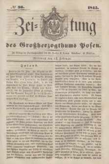 Zeitung des Großherzogthums Posen. 1845, № 36 (12 Februar)