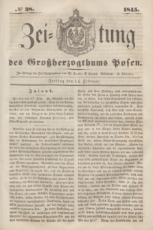 Zeitung des Großherzogthums Posen. 1845, № 38 (14 Februar)