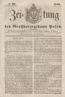 Zeitung des Großherzogthums Posen. 1845, № 42 (19 Februar)