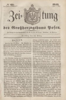 Zeitung des Großherzogthums Posen. 1845, № 65 (18 März)