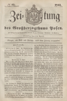 Zeitung des Großherzogthums Posen. 1845, № 87 (15 April)