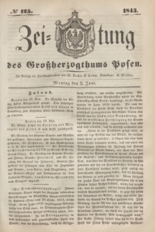 Zeitung des Großherzogthums Posen. 1845, № 125 (2 Juni) + dod.