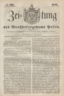 Zeitung des Großherzogthums Posen. 1845, № 132 (10 Juni)