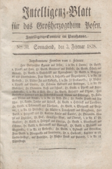 Intelligenz-Blatt für das Großherzogthum Posen. 1838, Nro. 30 (3 Februar)