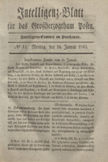 Intelligenz-Blatt für das Großherzogthum Posen. 1843, № 13 (16 Januar)