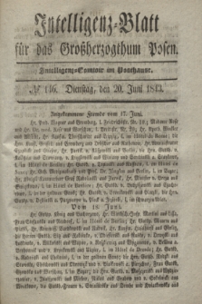 Intelligenz-Blatt für das Großherzogthum Posen. 1843, № 146 (20 Juni)