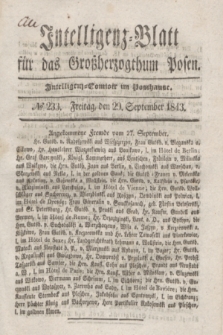 Intelligenz-Blatt für das Großherzogthum Posen. 1843, № 233 (29 September)