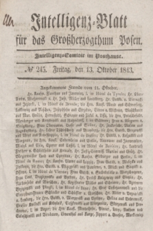 Intelligenz-Blatt für das Großherzogthum Posen. 1843, № 245 (13 Oktober) + dod.