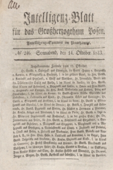 Intelligenz-Blatt für das Großherzogthum Posen. 1843, № 246 (14 Oktober)