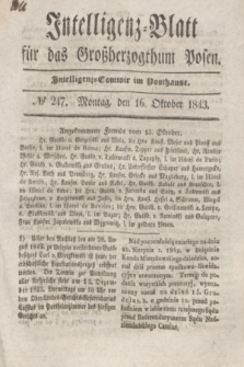 Intelligenz-Blatt für das Großherzogthum Posen. 1843, № 247 (16 Oktober) + dod.