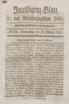 Intelligenz-Blatt für das Großherzogthum Posen. 1843, № 250 (19 Oktober)