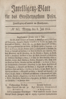 Intelligenz-Blatt für das Großherzogthum Posen. 1844, № 163 (8 Juli)