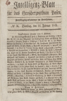 Intelligenz-Blatt für das Großherzogthum Posen. 1845, № 36 (11 Februar)