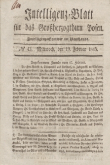 Intelligenz-Blatt für das Großherzogthum Posen. 1845, № 43 (19 Februar)