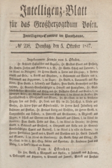 Intelligenz-Blatt für das Großherzogthum Posen. 1847, № 238 (5 Oktober)