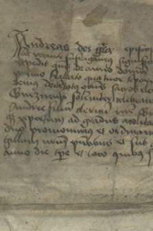 Dokument Andrzeja, biskupa naturieńskiego, sufragana arcybiskupa gnieźnieńskiego, potwierdzający udzielenie przez niego święceń kapłańskich