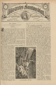 Illustrirtes Sonntagsblatt : zur Unterhaltung am häuslichen Herd. 1885, Nr. 3 ([18 Januar])