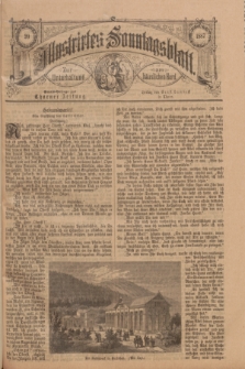 Illustrirtes Sonntagsblatt : zur Unterhaltung am häuslichen Herd. 1887, Nr. 20 ([15 Mai])