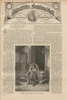 Illustrirtes Sonntagsblatt : zur Unterhaltung am häuslichen Herd. 1895, Nr. 41 ([13 Oktober])