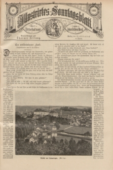 Illustrirtes Sonntagsblatt : zur Unterhaltung am häuslichen Herd. 1895, Nr. 42 ([20 Oktober])