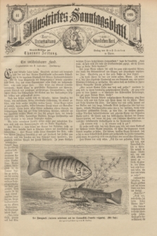 Illustrirtes Sonntagsblatt : zur Unterhaltung am häuslichen Herd. 1895, Nr. 44 ([3 November])