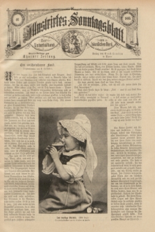Illustrirtes Sonntagsblatt : zur Unterhaltung am häuslichen Herd. 1895, Nr. 46 ([17 November])