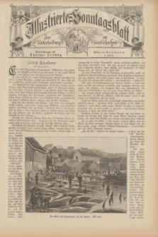 Illustriertes Sonntagsblatt : zur Unterhaltung am häuslichen Herd. 1898, Nr. 12 ([20 März])