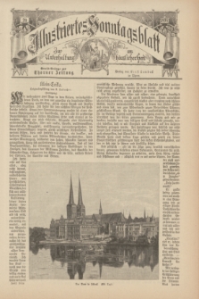 Illustriertes Sonntagsblatt : zur Unterhaltung am häuslichen Herd. 1898, Nr. 20 ([15 Mai])