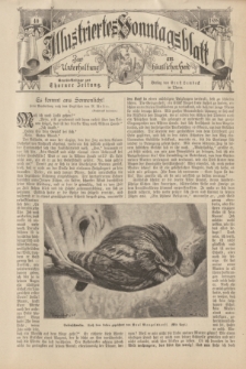 Illustriertes Sonntagsblatt : zur Unterhaltung am häuslichen Herd. 1898, Nr. 40 ([2 Oktober])