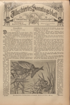 Illustriertes Sonntagsblatt : zur Unterhaltung am häuslichen Herd. 1899, Nr. 44 ([29 Oktober])