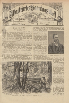 Illustriertes Sonntagsblatt : zur Unterhaltung am häuslichen Herd. 1901, Nr. 12 ([24 März])