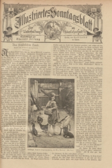 Illustriertes Sonntagsblatt : zur Unterhaltung am häuslichen Herd. 1901, nr 31 ([4 August])