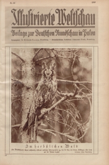 Illustrierte Weltschau : Beilage zur Deutschen Rundschau in Polen. 1929, Nr. 44 ([5 November])