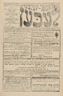 Radomer-Kielcer Leben. 1926, nr 19