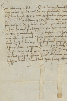 Dokument zawierający pokwitowanie odbioru wynagrodzenia za służbę przez dwóch rycerzy najemnych od króla Kazimierza Jagiellończyka
