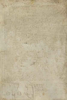 Fragment instrumentu notarialnego dotyczący apelacji w sporze o kanonikat i prebendę kolegiaty św. Marcina w Emmerich
