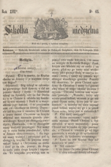 Szkółka niedzielna. R.17, nr 45 (13 listopada 1853)