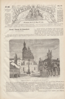 Opiekun Domowy. R.7, Serja 2, № 22 (31 maja 1871)