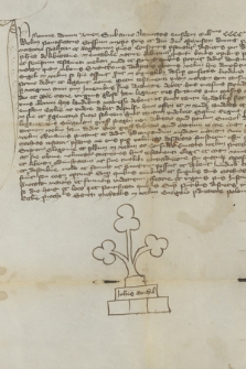 Instrument notarialny zawierający testament Macieja, plebana w Kadłubie