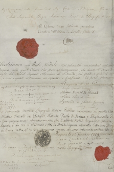 Dokument merostwa Raguzy zawierający wywód genealogiczny hrabiny Marietty Katarzyny, żony hrabiego Marino di Bonda z Raguzy