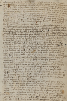 Acta litis de beneficio ecclesiastico in Dębica a. 1424-1449 Cracoviae, postea in Curia Romana habitae
