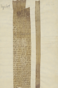 Fragment instrumentu notarialnego dotyczącego pawdopodobnie wyznaczenia prokuratorów przez plebana w Nelahozeves w nieznanej sprawie