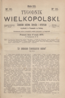 Tygodnik Wielkopolski : czasopismo naukowe, literackie i artystyczne. R.3, nr 20 (17 maja 1873)