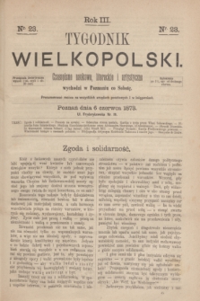 Tygodnik Wielkopolski : czasopismo naukowe, literackie i artystyczne. R.3, nr 23 (6 czerwca 1873)