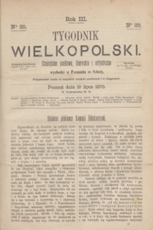 Tygodnik Wielkopolski : czasopismo naukowe, literackie i artystyczne. R.3, nr 29 (19 lipca 1873)